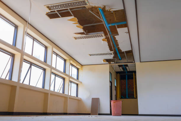 Best Ceiling water damage repair  in Janesville, WI