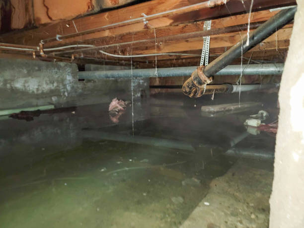 Best Residential water damage restoration  in Janesville, WI