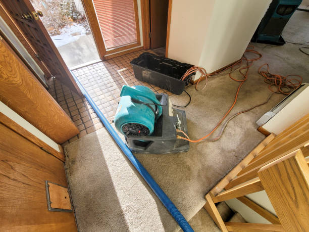 Best Flooded house restoration  in Janesville, WI