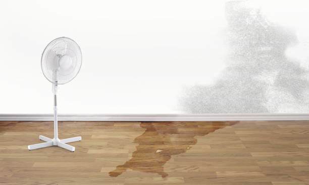 Best Water damage repair service  in Janesville, WI