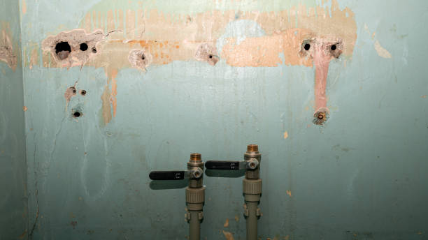Best 24-hour water damage restoration  in Janesville, WI