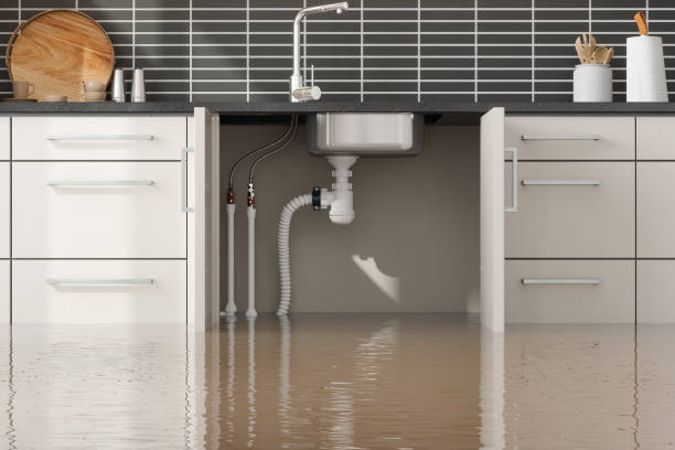 Best 24/7 water damage repair  in Janesville, WI